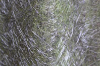 Haceby fibreglass roof work